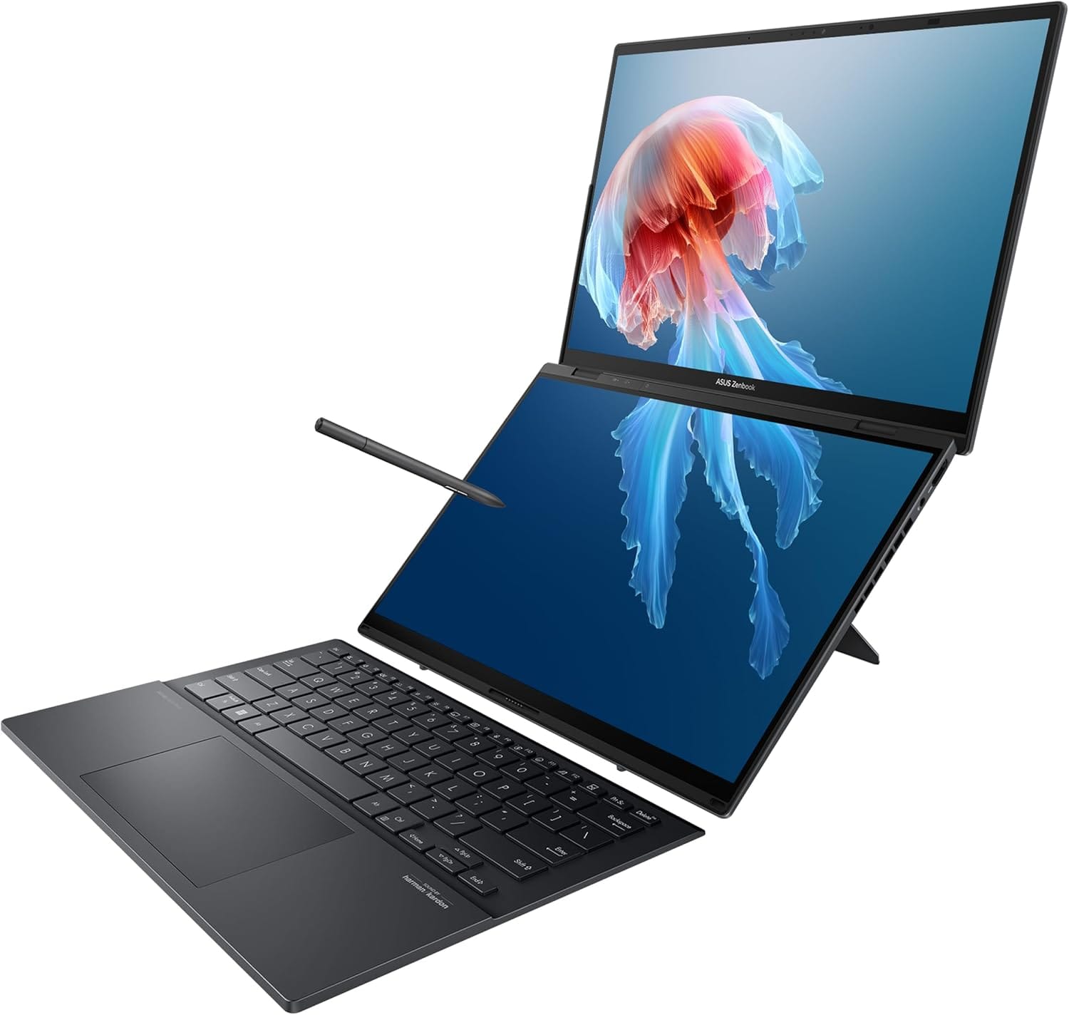 The Asus Zenbook with a rather fetching picture of a jellyfish on its display