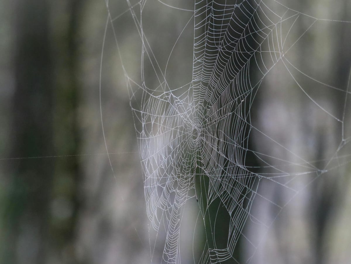 Criminal use the dark web to sell their illegal wares on hidden marketplaces (Photo by Nikola Tomašić on Unsplash)